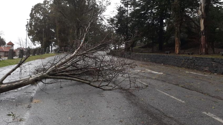 Las ráfagas de viento provocaron inconvenientes en distintas zonas de la ciudad