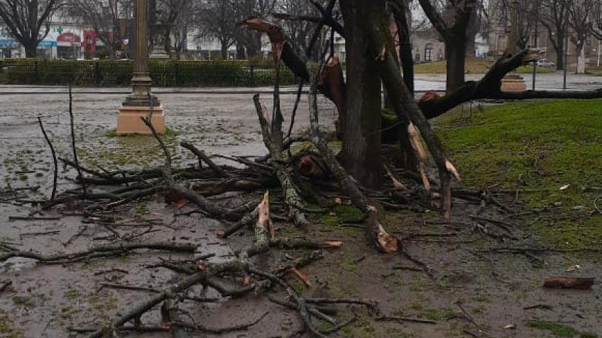 Las ráfagas de viento provocaron inconvenientes en distintas zonas de la ciudad