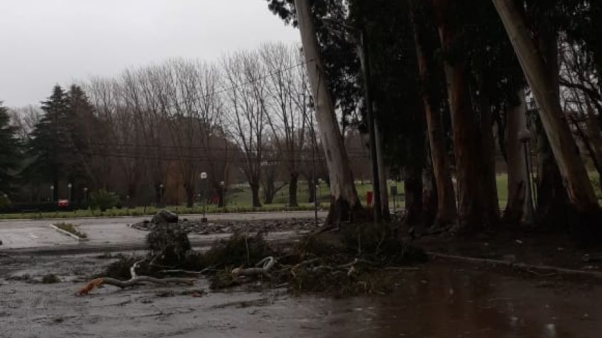 Las ráfagas de viento provocaron inconvenientes en distintas zonas de la ciudad