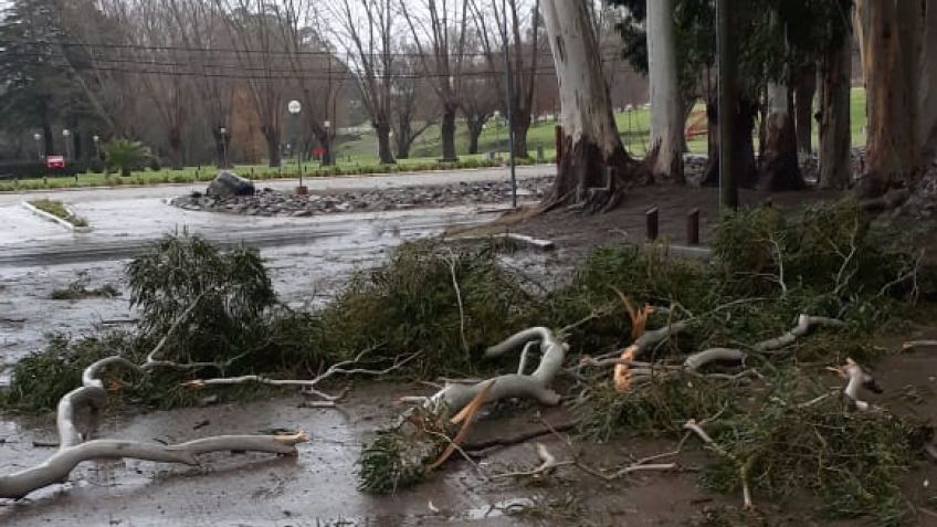 Las ráfagas de viento provocaron inconvenientes en distintas zonas de la ciudad