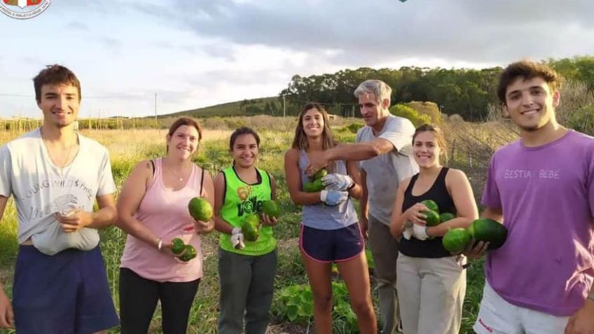 Huerta Solidaria, propuesta del Colegio San José, en la final del Mentes Transformadoras
