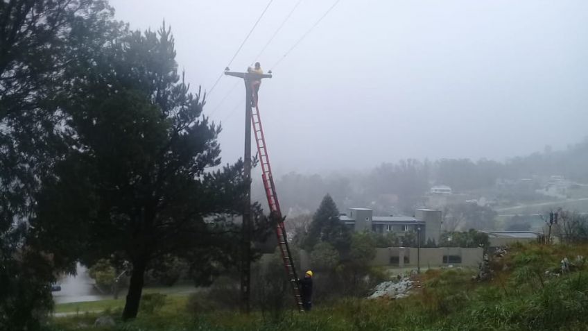 Arboles caídos, cables cortados y chapas sueltas por el temporal