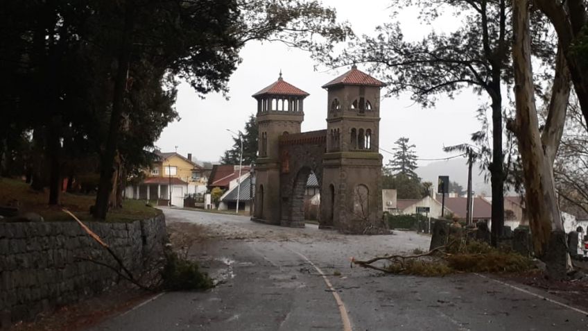 Arboles caídos, cables cortados y chapas sueltas por el temporal