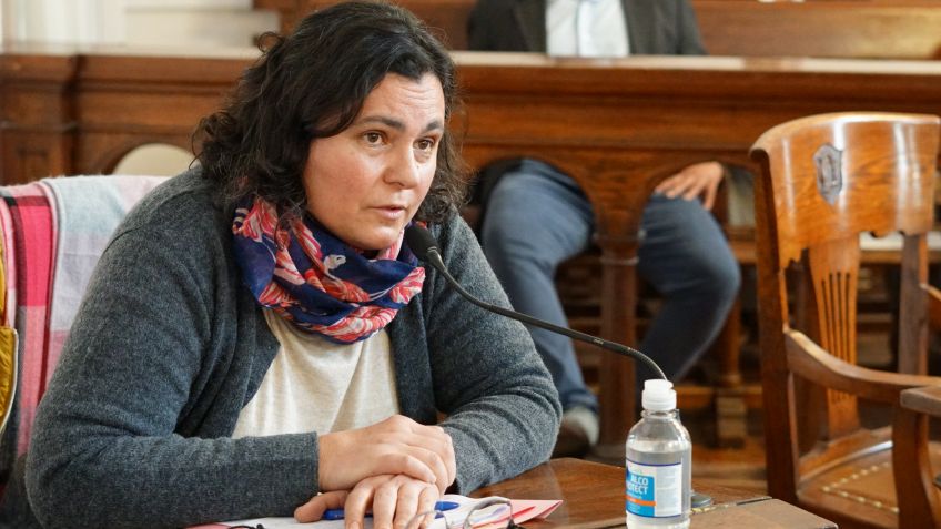 El HCD pidió Corredores Turísticos Sanitarios y la emergencia para el sector