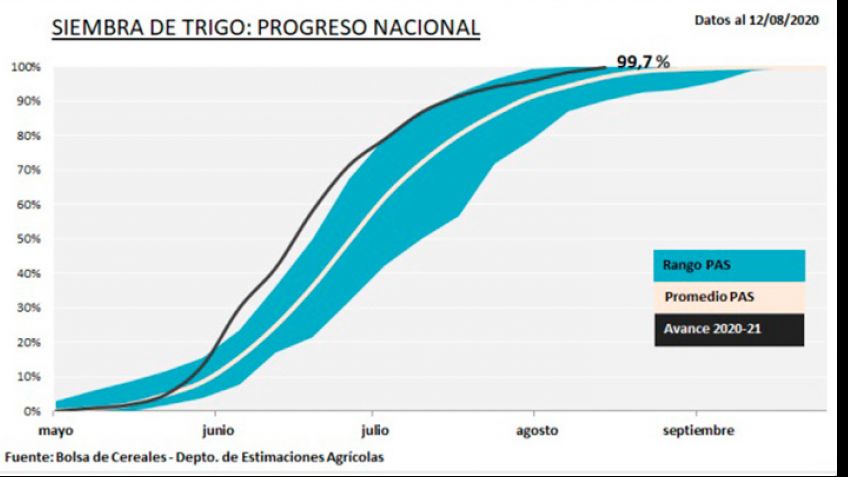 La sequía afecta al trigo y compromete los rendimientos