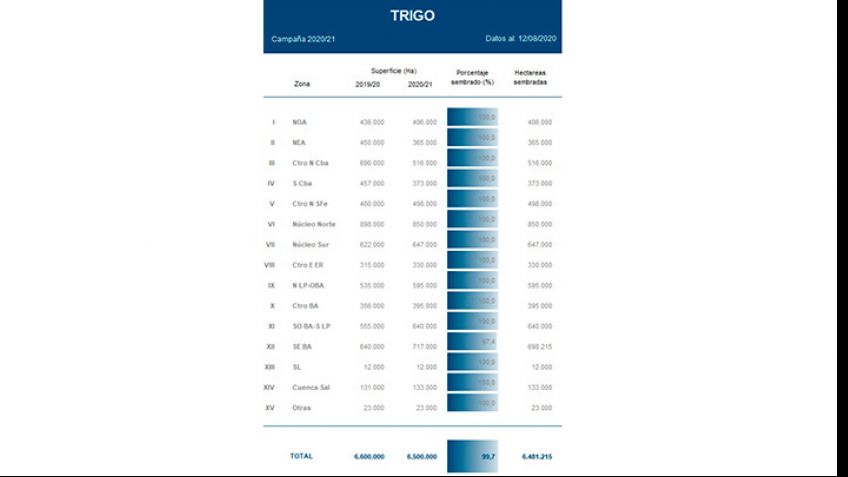 La sequía afecta al trigo y compromete los rendimientos