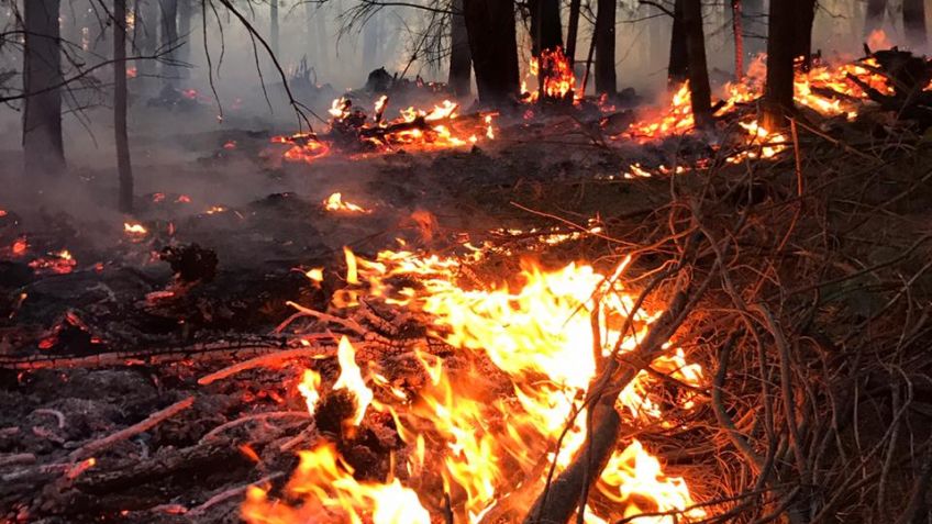 Se incendiaron pastizales en Cerro Aguirre