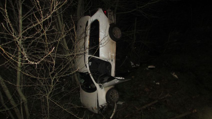 Un auto se despistó y cayó a una zanja