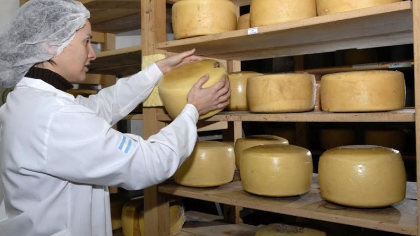 Bromatología y el Cluster Quesero recomiendan el consumo de quesos autorizados