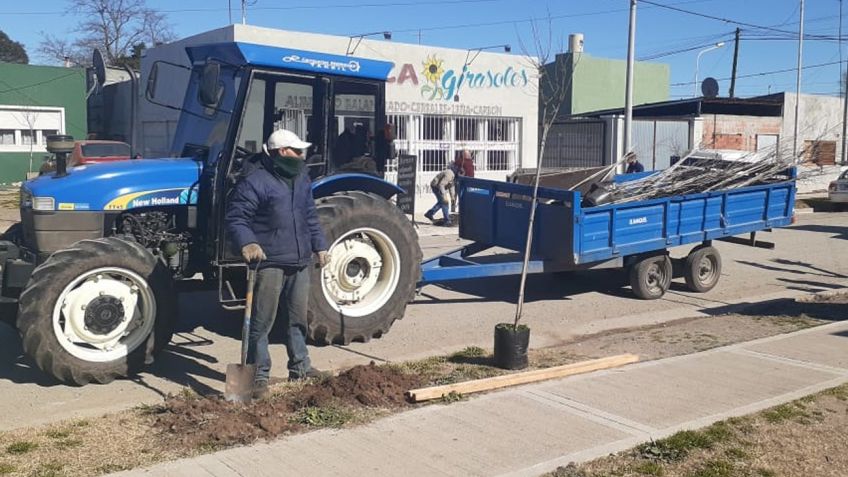 El municipio continúa con la plantación de nuevos árboles