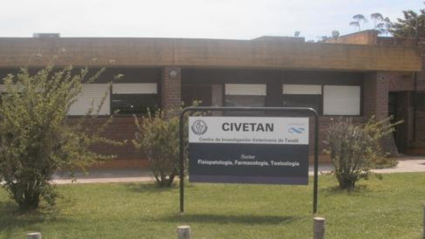 Creen que el estudio del CIVETAN con Ivermectina será uno de los tratamientos aprobados contra el Covid-19