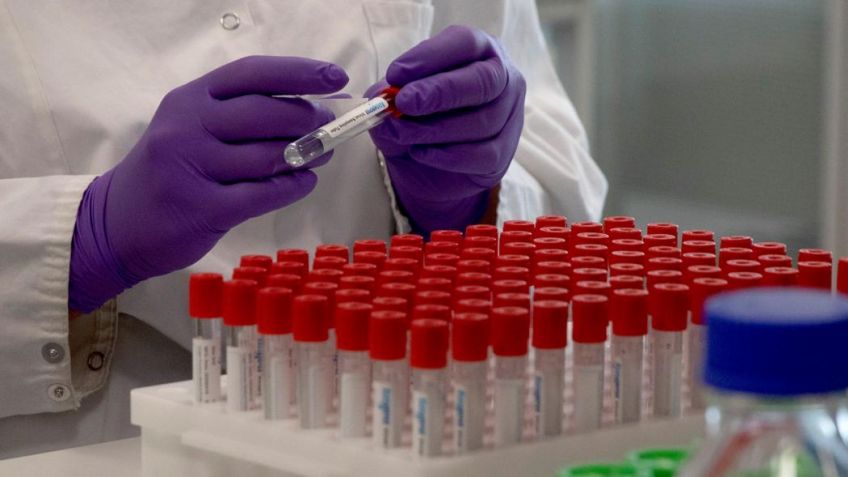Científicos de Argentina, Brasil y Francia buscan desarrollar una vacuna oral