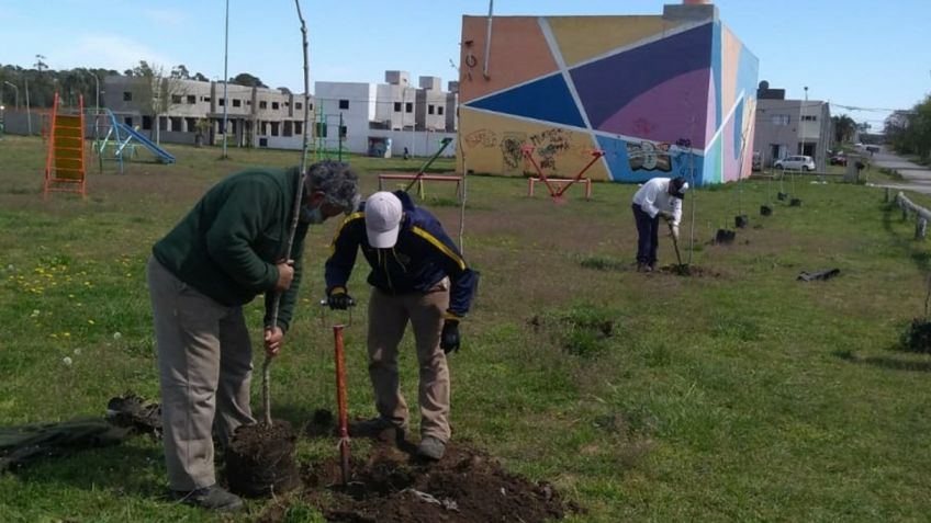 Continúan las tareas de forestación y mejoramiento en los espacios verdes