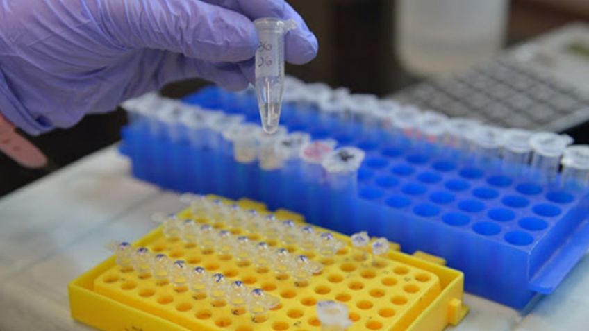 La Región Sanitaria VIII colabora realizando testeos en los geriátricos de Tandil