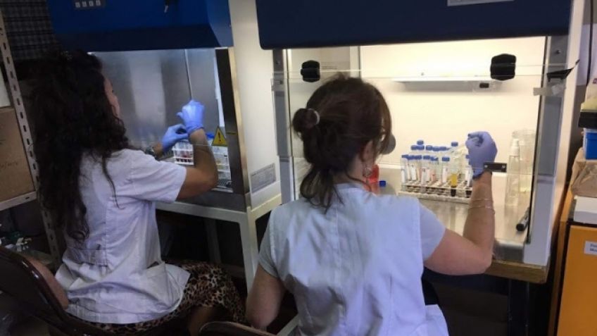 Comenzaron los estudios de Serología que prevé alcanzar a 3300 tandilenses