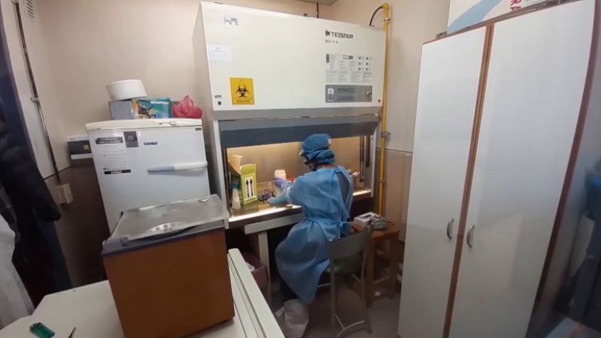 Coronavirus en Tandil: 144 positivos y una mujer fallecida 