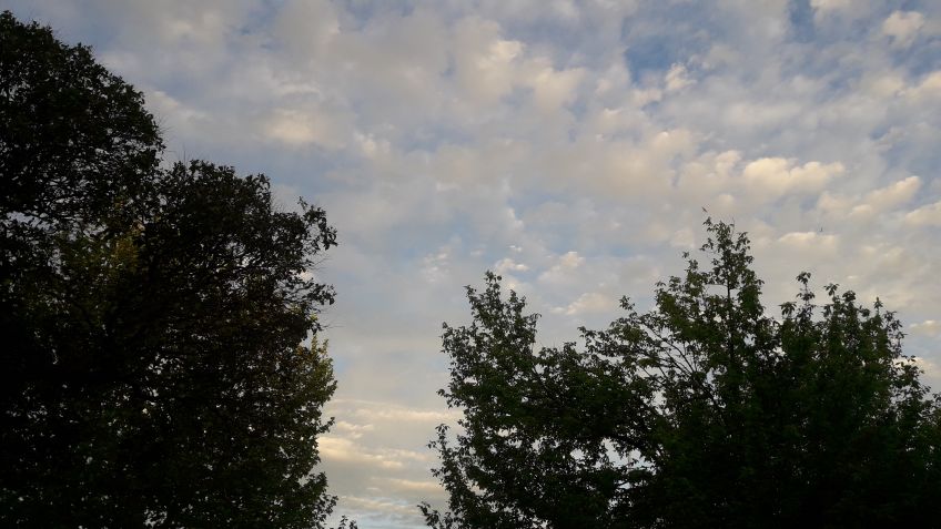 Martes: cielo algo nublado y vientos con ráfagas
