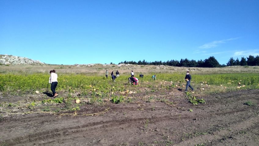 Se consolida el proyecto municipal en la Chacra "El Arraigo"
