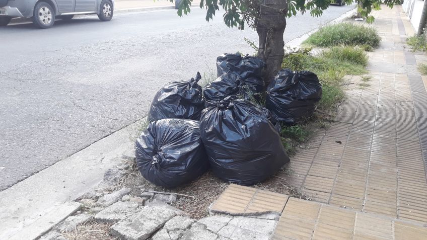 Este lunes habrá recolección de residuos