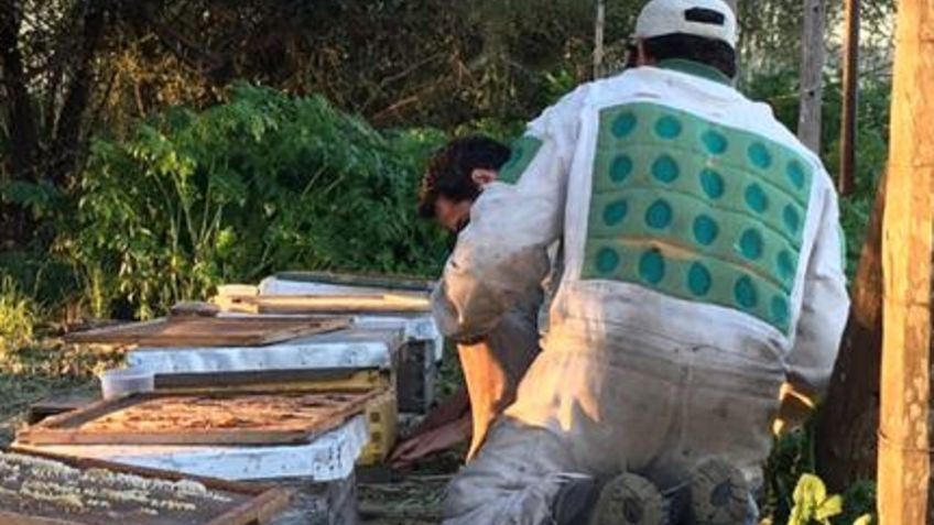 El municipio avanza en el fomento de la agroecología