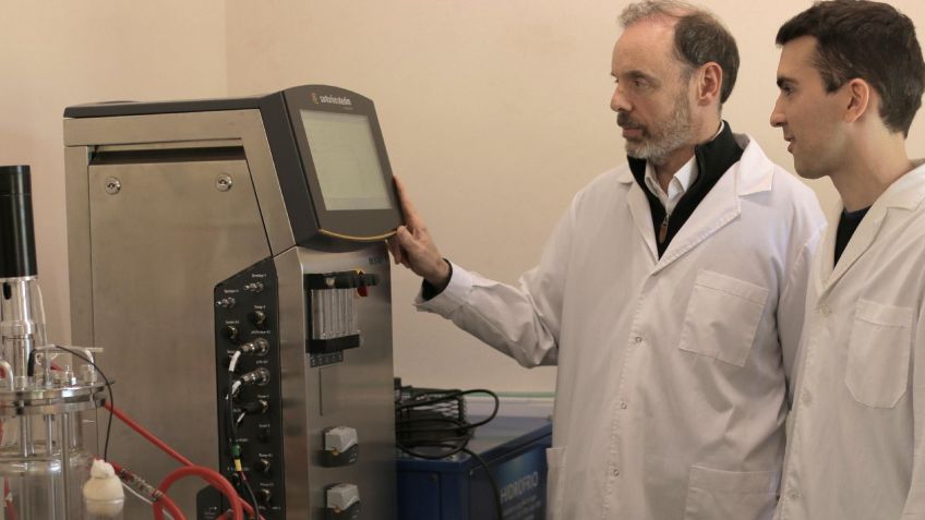 Tandil: más productividad en fabricación de kits para diagnóstico de COVID 19