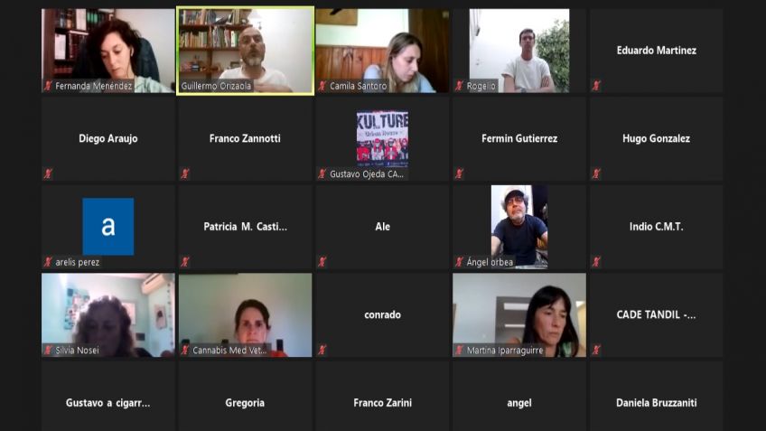 El Frente de Todos realizó un encuentro virtual sobre la nueva reglamentación del cannabis medicinal