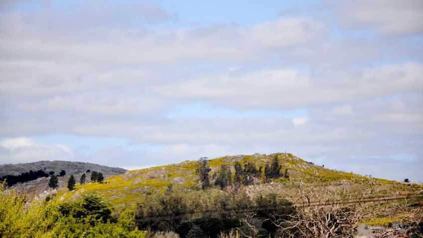 Martes con 30º de máxima y cielo parcialmente nublado