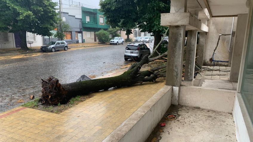 Hay "alerta naranja" y los vientos fuertes seguirían hasta el domingo