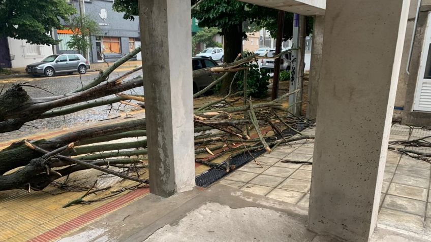 Hay "alerta naranja" y los vientos fuertes seguirían hasta el domingo