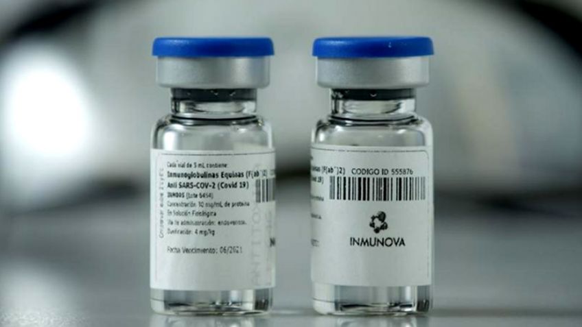 Aprobaron el suero equino hiperinmune como tratamiento para el COVID-19 