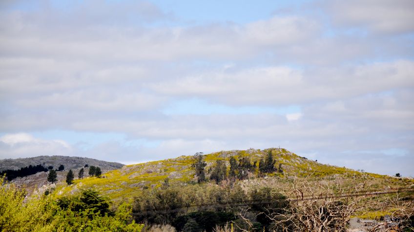 Jueves: máxima de 26º, cielo parcialmente nublado y vientos con ráfagas