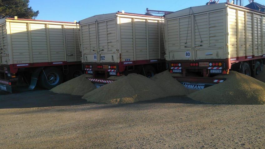 Abrieron las boquillas de dos acoplados y se perdió importante cantidad de cereal
