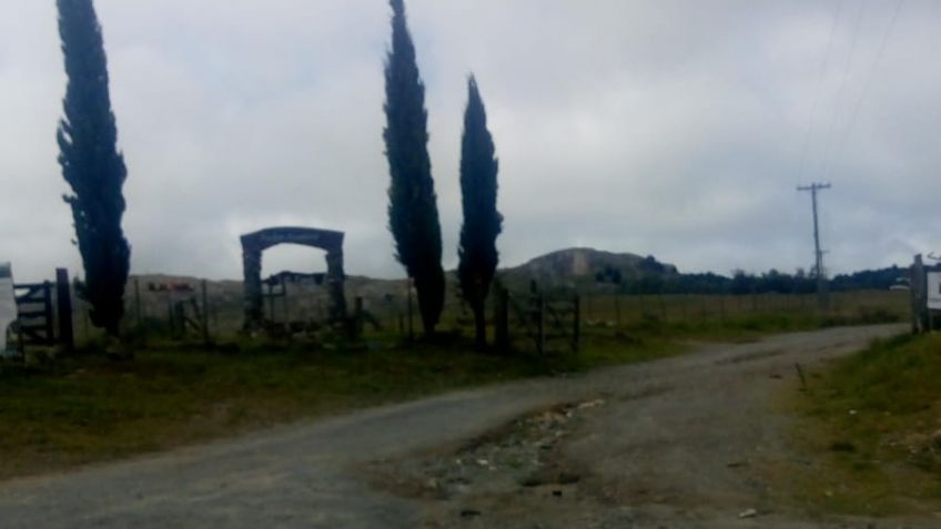 Luego de aparecer llenos de basura, limpiaron el Paseo de los Pioneros y otros espacios públicos