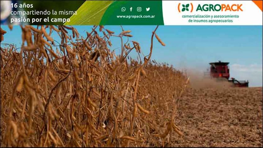 Soja: caída que se siente al pasar de 49 a 45 millones de toneladas