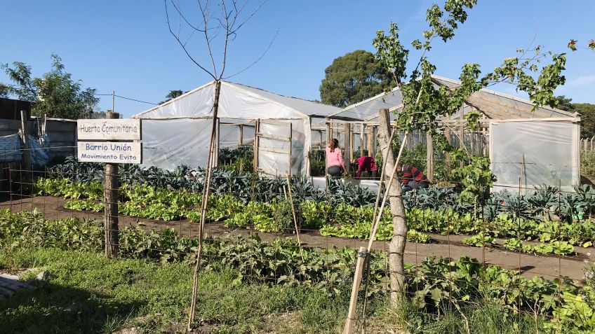 Frutos de Nuestra Tierra realizará una nueva venta al público de verdura agroecológica