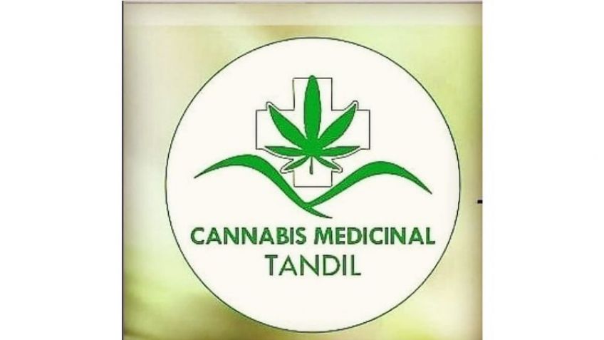 Cannabis Medicinal Tandil denunció una "campaña sistemática de persecución"