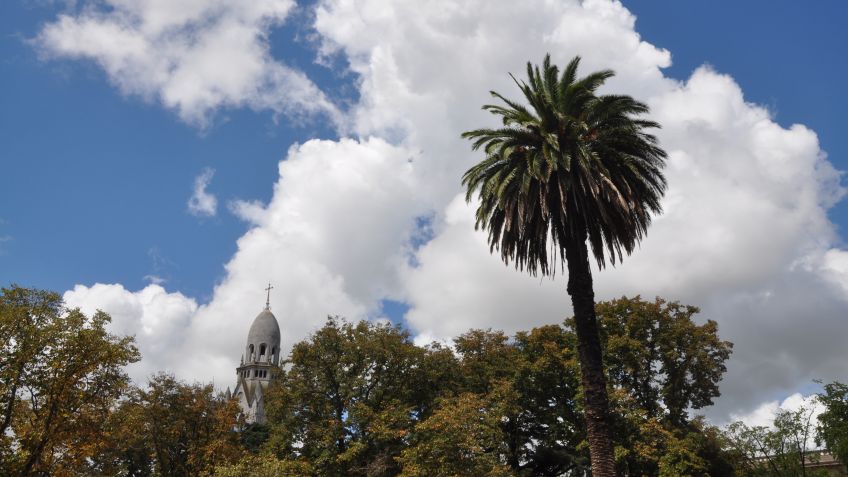 Lunes: 22º de máxima y cielo algo nublado
