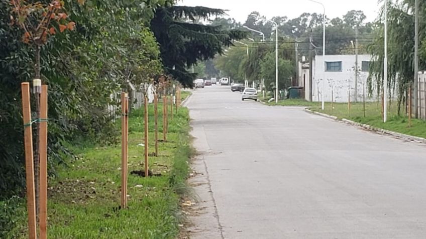 Avanza el Plan de Forestación en Villa Aguirre