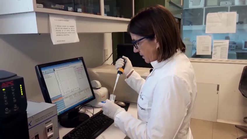 Coronavirus: confirman cuatro muertes y 116 nuevos positivos