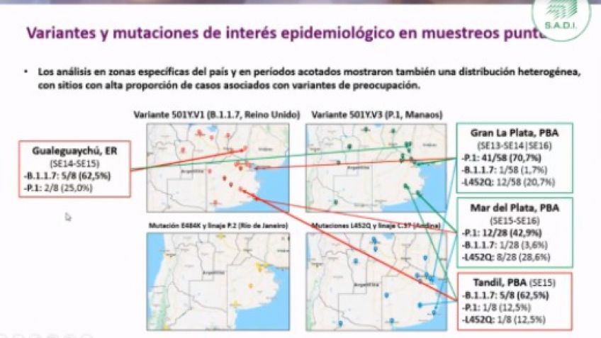 Científicos comprueban que la cepa Británica tiene alta circulación en Tandil