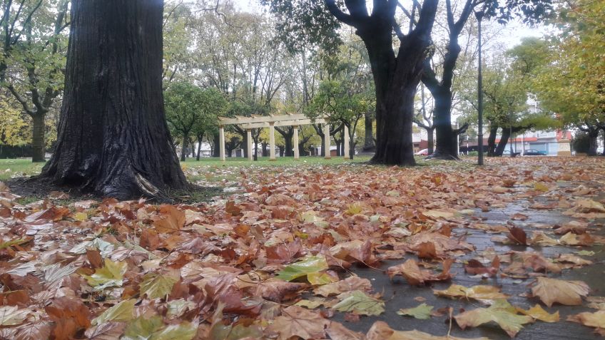 Miércoles con lloviznas