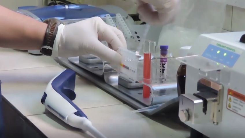 Coronavirus en Tandil: El parte diario reporta una muerte y 52 nuevos casos
