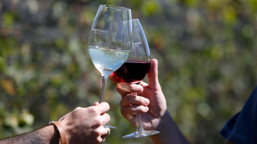 Mar del Plata lo tiene todo: cerveza artesanal y vinos con influencia oceánica