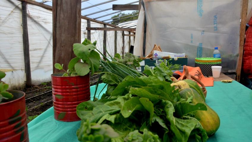 La huerta agroecológica de La Movediza se consolida como espacio de producción