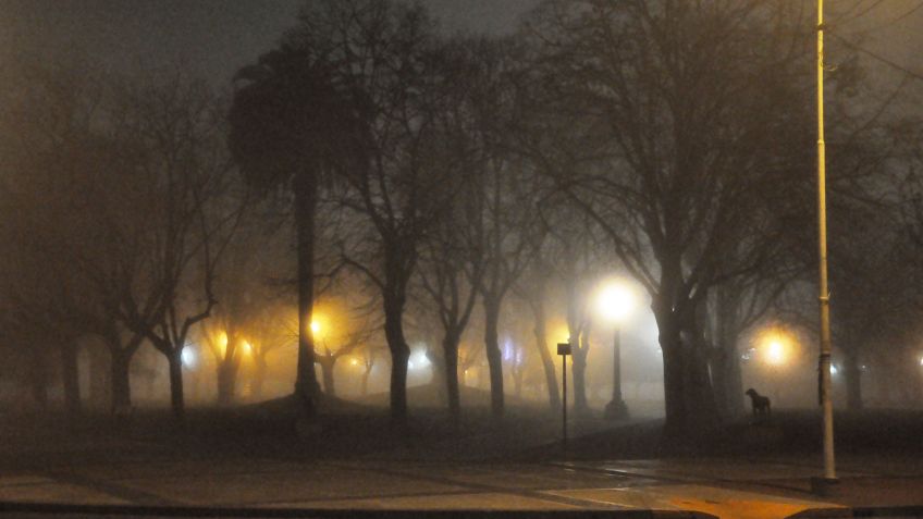 Viernes con neblina y máxima de 20º