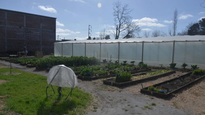 Con Biofertilizantes elaborados en Tandil, se siguen desarrollando las huertas agroecológicas