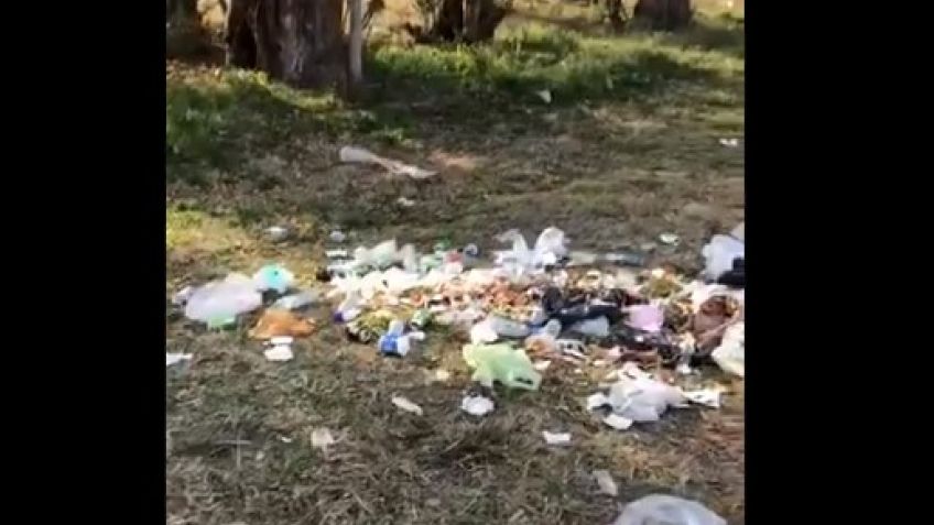 Vecino denunció que arrojan basura detrás del Cementerio Municipal