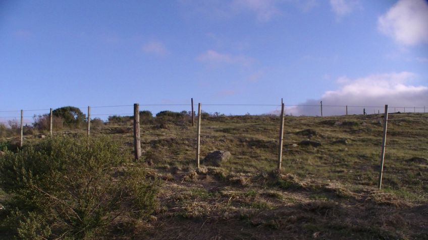 Advierten sobre "un nuevo loteo indebido" en la zona serrana 