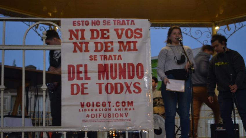 La movilización mundial por la crisis climática tuvo su réplica en Tandil