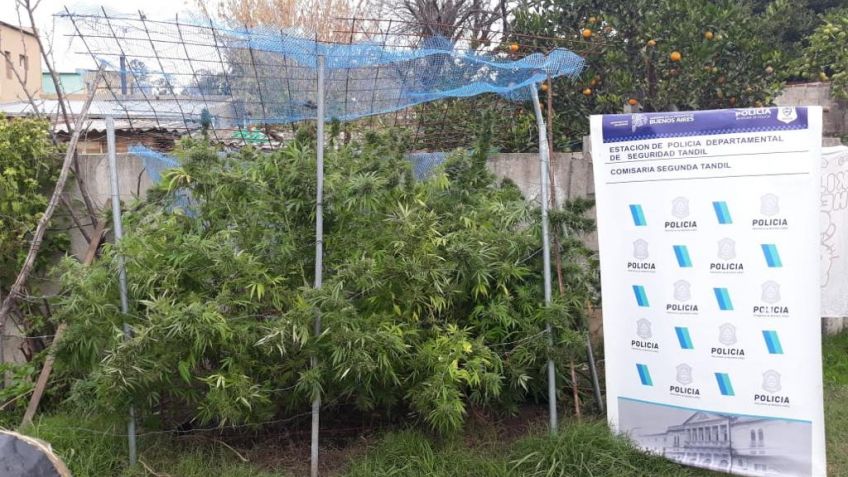 Detienen a un joven que le habían encontrado 17 kilos de marihuana 